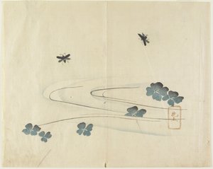 Insectes volant au-dessus de l